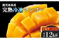 ＜定期便・全12回＞鹿児島県産！結いの街！完熟まるごと冷凍マンゴー(1回のお届け1kg・2～3個入り)