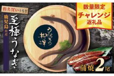 数量限定　うなぎの柳澤　うなぎ蒲焼2尾（計320g）