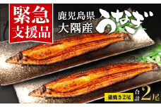 【緊急支援品】鹿児島県大隅産　千歳鰻の蒲焼き2尾セット（1尾110g～130g）