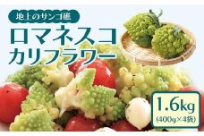 冷凍カットロマネスコカリフラワー 400g×4袋（1.6kg）