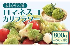 冷凍カットロマネスコカリフラワー 400g×2袋（800ｇ）