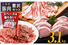 九州産豚肉3.1kg　3種セット　（豚バラスライス400g×3P　豚ロースとんかつ350g（3枚）×2P　豚モモウデ切り落とし300g×4P）