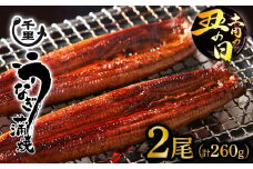 【土用丑の日】鹿児島県産うなぎ蒲焼き　約130g×2尾
