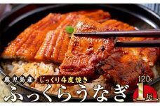 うなぎ 蒲焼 120g×1尾【鹿児島産】地下水で育てた絶品鰻