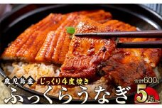 うなぎ 蒲焼 120g×5尾【鹿児島産】地下水で育てた絶品鰻