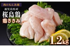 桜島鶏ささみ（特製ブライン液仕込み・下味付き）　小分けパック　1.2kg（4パック）