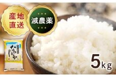 【令和7年産新米】(新米先行受付)なつほのか５kg　はまだ農園こだわり栽培