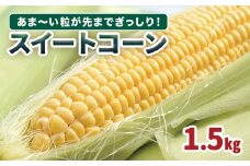 【先行予約】結いの街のスイートコーン☆ゴールドラッシュ