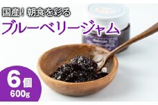 【12161】贅沢な国産ブルーベリージャム(100g×6個・計600g)ジャム 瓶 果物 果実 フルーツ パン【村山製油】