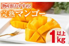 【0145910a】＜数量限定＞南国鹿児島県産の太陽の恵み！完熟マンゴー(計1kg以上・2-3個入り) 果物 フルーツ 果実 デザート 国産 冷蔵【東串良物産館ルピノンの里】
