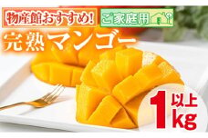 【0145910a】＜数量限定＞南国鹿児島県産の太陽の恵み！完熟マンゴー(計1kg以上・2-3個入り) 果物 フルーツ 果実 デザート 国産 冷蔵【東串良物産館ルピノンの里】