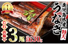 【0234303a】東串良町のうなぎ蒲焼(無頭)(3尾・計約630g・タレ、山椒付)うなぎ 高級 ウナギ 鰻 国産 蒲焼 蒲焼き たれ 鹿児島 ふるさと 人気【アクアおおすみ】