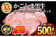 【30963】《10営業日以内に発送！》鹿児島県産黒毛和牛！A5等級サーロインステーキ(計500g・約250g×2枚)国産 牛肉 肉 冷凍 サーロイン 鹿児島 ステーキ 焼肉 BBQ バーベキュー【前田畜産たかしや】