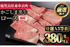 【17476】＜特選A5等級＞鹿児島県産黒毛和牛ロース焼肉用(380g)国産 牛肉 肉 冷凍 ロース 鹿児島 焼肉 BBQ バーベキュー【デリカフーズ】