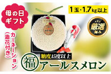 【0151112a-M】＜母の日ギフト・数量限定＞高級アールスメロン(大玉1玉・1.7kg以上、カーネーション(造花)付)メロン フルーツ 果物 果実 1キロ 数量限定 期間限定 贈答 贈り物 母の日【マル福園芸組合】