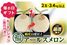 【0281113a-M】＜母の日ギフト・数量限定＞高級アールスメロン(大玉2玉・計3.4kg以上、カーネーション(造花)付)メロン フルーツ 果物 果実 3キロ 数量限定 期間限定 贈答 贈り物 母の日【マル福園芸組合】