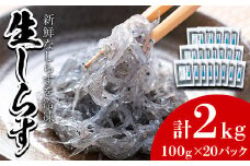 【44518】鹿児島県産生しらす(冷凍)計2kg(100g×20パック) 獲れたてしらすを急速冷凍！鮮度抜群なしらすをご家庭で気軽に！【東串良町漁業協同組合】