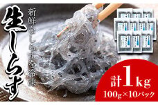 【22517】鹿児島県産生しらす(冷凍)計1kg(100g×10パック) 獲れたてしらすを急速冷凍！鮮度抜群なしらすをご家庭で気軽に！【東串良町漁業協同組合】