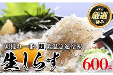 【0113401a】鹿児島県産生しらす(冷凍)(計600g・100g×6パック)シラス 魚 魚介類 小分け 国産 鹿児島 冷凍【東串良町漁業協同組合】