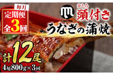 【090902b】＜定期便・全3回＞大隅産うなぎの蒲焼 (計2400g・(200g×4尾)×3回・有頭)うなぎ 高級 ウナギ 鰻 国産 蒲焼 蒲焼き たれ 鹿児島【永峯うなぎ店】