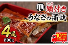 【30605】《10営業日以内に発送！》大隅産うなぎの蒲焼(計約800g・約200g×4尾・有頭)うなぎ 高級 ウナギ 鰻 国産 蒲焼 蒲焼き たれ 鹿児島【永峯うなぎ店】