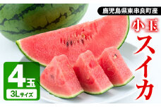 【0252606a】＜期間限定・数量限定＞小玉すいか(マダーボール・3L×4玉)【甘宮】