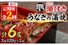 【036901b】＜定期便・全2回＞大隅産うなぎの蒲焼 (計840g・(140g×3尾)×2回・有頭)うなぎ 高級 ウナギ 鰻 国産 蒲焼 蒲焼き たれ 鹿児島【永峯うなぎ店】