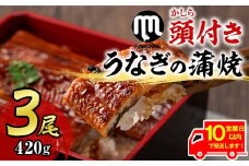 【18720】《10営業日以内に発送！》大隅産うなぎの蒲焼(計約420g・約140g×3尾・有頭)うなぎ 高級 ウナギ 鰻 国産 蒲焼 蒲焼き たれ 鹿児島【永峯うなぎ店】