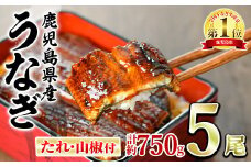 【0294315a】東串良町のうなぎ蒲焼(無頭)(5尾・計約750g・タレ、山椒付)うなぎ 高級 ウナギ 鰻 国産 蒲焼 蒲焼き たれ 鹿児島 ふるさと 人気【アクアおおすみ】