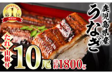 【67038】東串良町のうなぎ蒲焼(無頭)(10尾・計約1,800g・タレ、山椒付)うなぎ 高級 ウナギ 鰻 国産 蒲焼 蒲焼き たれ 鹿児島 ふるさと 人気【アクアおおすみ】