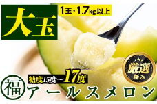 【0151110a】＜厳選極み＞マル福の高級アールスメロン(大玉1玉・1.7kg以上)メロン フルーツ 果物 果実 1キロ 数量限定 期間限定 贈答 贈り物【マル福園芸組合】