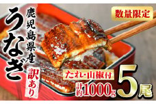 【0304313a】＜訳あり＞東串良町のうなぎ蒲焼(無頭)(5尾以上・計約1kg・タレ、山椒付) 数量限定 うなぎ 高級 ウナギ 鰻 国産 蒲焼 蒲焼き たれ 鹿児島 ふるさと 人気【アクアおおすみ】