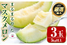 【0322204a】まるまる育ったマスクメロン(3玉・計5kg以上) マスクメロン フルーツ 果物 果実 5キロ 数量限定 期間限定【まる美園芸組合】