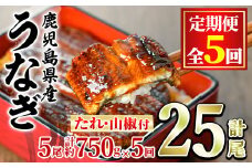 【150041】＜定期便・全5回＞東串良町のうなぎ蒲焼(無頭)(5尾・計約750g・タレ、山椒付×5回)うなぎ 高級 ウナギ 鰻 国産 蒲焼 蒲焼き たれ 鹿児島 ふるさと 人気【アクアおおすみ】