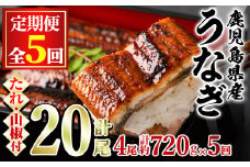 【134043】＜定期便・全5回＞東串良町のうなぎ蒲焼(無頭)(4尾・計約720g・タレ、山椒付×5回)うなぎ 高級 ウナギ 鰻 国産 蒲焼 蒲焼き たれ 鹿児島 ふるさと 人気【アクアおおすみ】