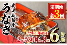 【36039】＜定期便・全3回＞東串良町のうなぎ蒲焼(無頭)(2尾・計約300g・タレ、山椒付×3回)うなぎ 高級 ウナギ 鰻 国産 蒲焼 蒲焼き たれ 鹿児島 ふるさと 人気【アクアおおすみ】