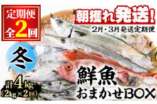 【0301103b】＜定期便・全2回(2月・3月)＞「冬の鮮魚BOX」朝獲れ発送！鮮魚問屋が厳選したおまかせ鮮魚(約2kg程度×2回)魚 魚介類 鮮魚 海鮮 詰め合わせ セット 刺身 天ぷら 煮つけ 塩焼き【江川商店】