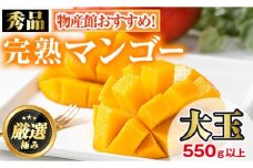 【0145912a】＜秀品・数量限定＞南国鹿児島県産の太陽の恵み！完熟マンゴー(大玉1個・550g以上) 果物 フルーツ 果実 デザート 国産 冷蔵【東串良物産館ルピノンの里】