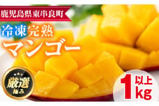 【0142616a】＜数量限定＞鹿児島県産！南国の恵み！まるごと冷凍完熟マンゴー(約1kg・2-3個)果物 フルーツ 果実 冷凍 デザート 国産【甘宮】