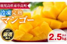 【32845】＜数量限定＞鹿児島県産！南国の恵み！まるごと冷凍完熟マンゴー(約2.5kg・5-7個)果物 フルーツ 果実 冷凍 デザート 国産【甘宮】