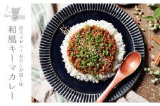 【0124206a】唐辛子ゼロ！おだしが隠し味の和風キーマカレー(120g×4パック・真空パック) レトルト 小分け 個包装 おかず【Food＆SpiceSoerwCoco】