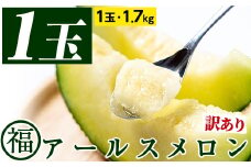 【0111109a】＜訳あり＞マル福の高級アールスメロン(1玉・1.7kg)メロン フルーツ 果物 果実 1キロ 数量限定 期間限定【マル福園芸組合】