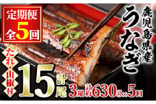 【113044】＜定期便・全5回＞東串良町のうなぎ蒲焼(無頭)(3尾・計約630g・タレ、山椒付×5回)うなぎ 高級 ウナギ 鰻 国産 蒲焼 蒲焼き たれ 鹿児島 ふるさと 人気【アクアおおすみ】