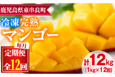 【156951】＜定期便・全12回(連続)＞鹿児島県産！南国の恵み！丸ごと冷凍完熟マンゴー(1kg×12回)果物 フルーツ 果実 冷凍 デザート 国産【甘宮】