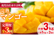 【39950】＜定期便・全3回(5月・6月・7月)＞鹿児島県産！南国の恵み！完熟マンゴー(1kg×3回)【甘宮】
