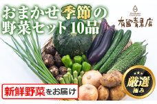 【0123608a】自慢の農家×老舗青果店の新鮮でおいしい野菜・おまかせ便(10品) 野菜 セット 詰め合わせ 詰合せ 旬 お野菜【有留青果】