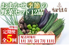 【75956】＜定期便・全5回＞自慢の農家×老舗青果店の新鮮でおいしいおまかせ野菜便(12品×5回)野菜 セット 詰合せ 詰め合せ【有留青果】