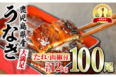 【4504306a】＜大満足＞東串良町のうなぎ蒲焼(無頭)(120g×100尾・計約12000g・タレ、山椒付)うなぎ 高級 ウナギ 鰻 国産 蒲焼 蒲焼き たれ 鹿児島 ふるさと 人気【アクアおおすみ】