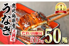 【5004307a】＜大満足＞東串良町のうなぎ蒲焼(無頭)(300g×50尾・計約15000g・タレ、山椒付)うなぎ 高級 ウナギ 鰻 国産 蒲焼 蒲焼き たれ 鹿児島 ふるさと 人気【アクアおおすみ】