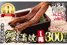 【0104312a】東串良町のうなぎ蒲焼(無頭)＜メガサイズ＞(1尾・300g以上・タレ、山椒×3個※通常の1.5倍付)うなぎ 高級 ウナギ 鰻 国産 蒲焼 蒲焼き たれ 鹿児島 ふるさと【アクアおおすみ】